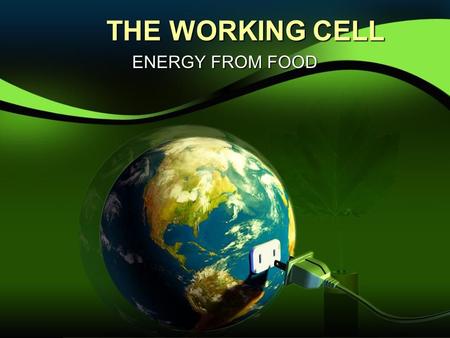 THE WORKING CELL ENERGY FROM FOOD.