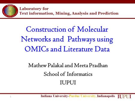 Laboratory for Text information, Mining, Analysis and Prediction Indiana University-Purdue University, Indianapolis Construction of Molecular Networks.