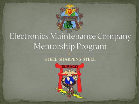 Electronics Maintenance Company Mentorship Program