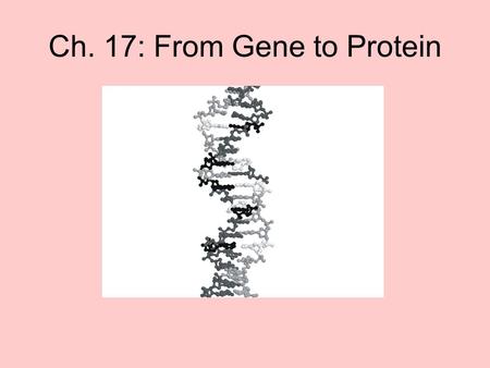 Ch. 17: From Gene to Protein. The Connection Between Genes and Proteins The study of metabolic defects provided evidence that genes specify proteins –Garrod,