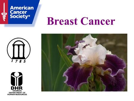 Breast Cancer. This Presentation provided by The American Cancer Society The University of Georgia Cooperative Extension Service The Department of Human.