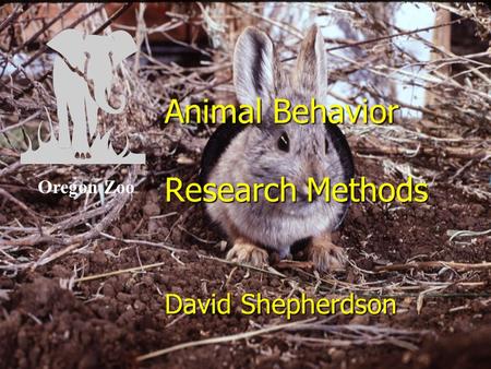 Animal Behavior Research Methods David Shepherdson Oregon Zoo.