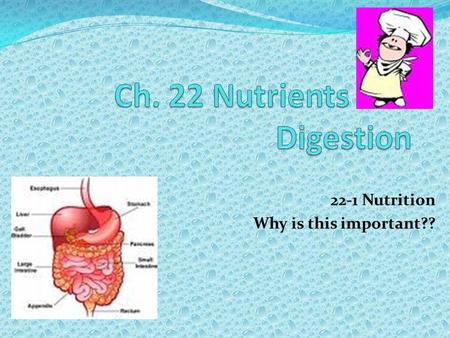 22-1 Nutrition Why is this important??. What are items you think about when you pick something to eat? What are nutrients?