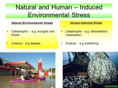 Natural and Human – Induced Environmental Stress Natural Environmental Stress Catastrophic - e.g. droughts and floods Gradual - e.g disease Human-Induced.