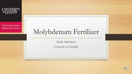 Molybdenum Fertilizer Emily Marchand University of Guelph.