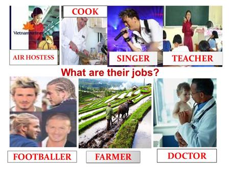 FOOTBALLER FARMER DOCTOR SINGER TEACHER What are their jobs? COOK AIR HOSTESS.