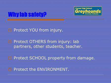 Why lab safety?  Protect YOU from injury.  Protect OTHERS from injury: lab partners, other students, teacher.  Protect SCHOOL property from damage.