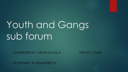 Youth and Gangs sub forum CHAIRPERSON : MR ZN DLADLA DEPUTY CHAIR: SECRETARY: N SWAARTBOOI.