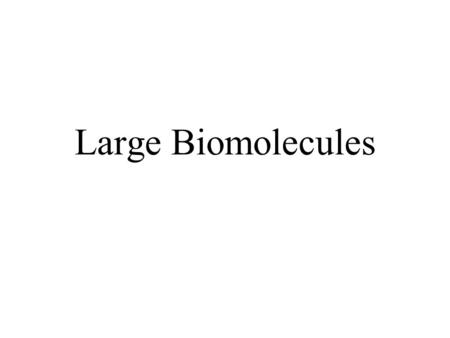 Large Biomolecules. All Organisms Contain the Same Four Classes of Large Biomolecules lipids - hydrophobic =>macromolecules - chains of subunits polysaccharides.