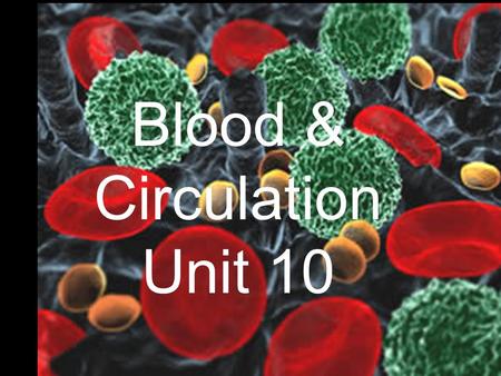 Blood & Circulation Unit 10. Introduction Blood is the primary transportation fluid of the body. Two of its most important functions are transportation.