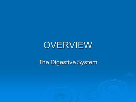 OVERVIEW The Digestive System. Digestive System  The digestive system is also called the gastrointestinal (GI) system.  This system is responsible for.