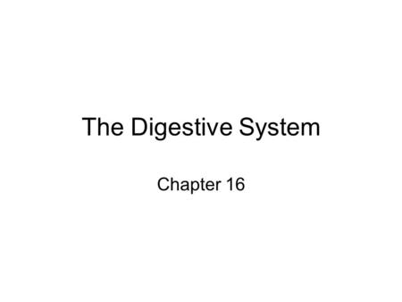 The Digestive System Chapter 16.