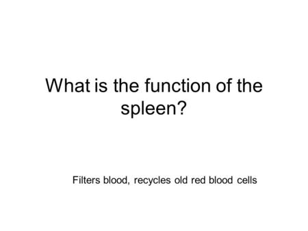 What is the function of the spleen?