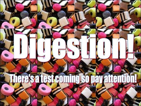 What is digestion? Digestion is the breakdown of large insoluble molecules into smaller soluble molecules which can pass through the wall of the gut.