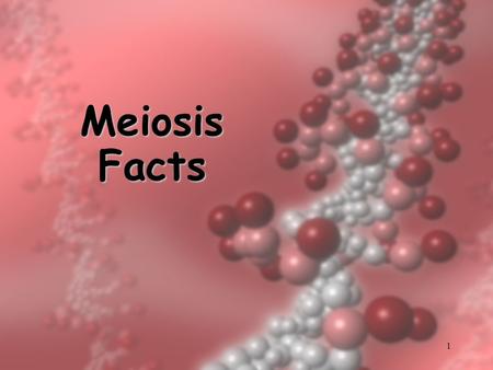 Meiosis Facts.