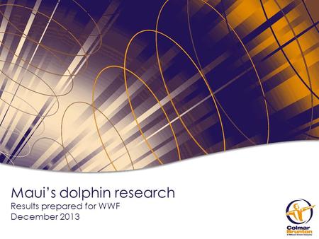 Maui’s dolphin research Results prepared for WWF December 2013.