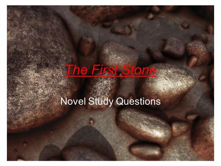 The First Stone Novel Study Questions.