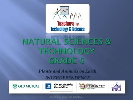 NATURAL SCIENCES & TECHNOLOGY GRADE 5