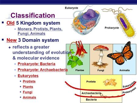 AP Biology Archaebacteria & Bacteria Classification  Old 5 Kingdom system  Monera, Protists, Plants, Fungi, Animals  New 3 Domain system  reflects.