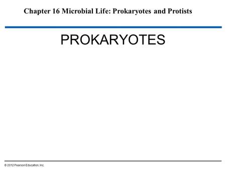 PROKARYOTES Chapter 16 Microbial Life: Prokaryotes and Protists 1