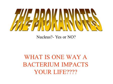 WHAT IS ONE WAY A BACTERIUM IMPACTS YOUR LIFE???? Nucleus?- Yes or NO?