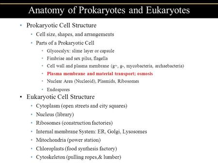 Anatomy of Prokaryotes and Eukaryotes Prokaryotic Cell Structure Cell size, shapes, and arrangements Parts of a Prokaryotic Cell Glycocalyx: slime layer.