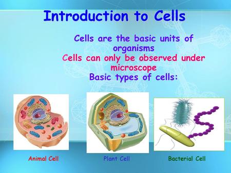 Introduction to Cells Cells are the basic units of organisms