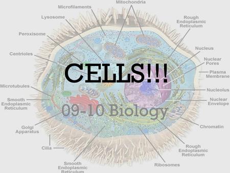 CELLS!!! 09-10 Biology. General Stuff to Know… We will talk about cells for the REST OF THE YEAR…so you might as well just learn it now!!! Your life will.