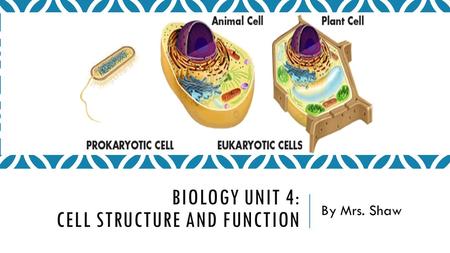 Biology Unit 4: Cell Structure and Function