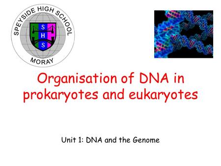 Organisation of DNA in prokaryotes and eukaryotes