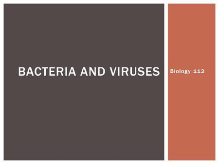 Biology 112 BACTERIA AND VIRUSES.  Smallest and most common microorganisms  Unicellular organisms that lack a nucleus  They can be divided into two.