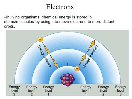 Electrons – In living organisms, chemical energy is stored in atoms/molecules by using it to move electrons to more distant orbits.