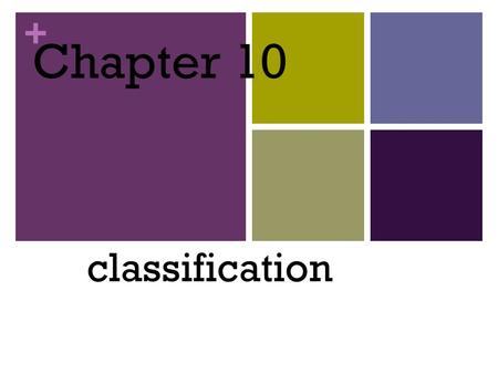 + Chapter 10 classification. + Sec 1: Classification: Sorting it All Out Classification – the arrangement of organisms into orderly groups based on their.