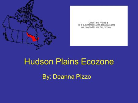 Hudson Plains Ecozone By: Deanna Pizzo. Table of Contents Location Climate Geology and Geography Vegetation Animals Soils Humans Climate Graph Hudson.