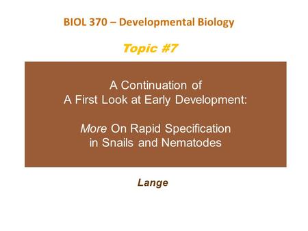 A Continuation of A First Look at Early Development: More On Rapid Specification in Snails and Nematodes Lange BIOL 370 – Developmental Biology Topic #7.