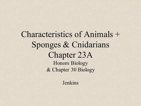 Characteristics of Animals + Sponges & Cnidarians Chapter 23A