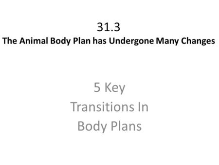 31.3 The Animal Body Plan has Undergone Many Changes