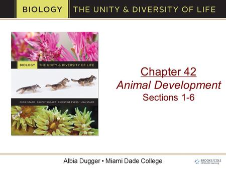 Chapter 42 Animal Development Sections 1-6