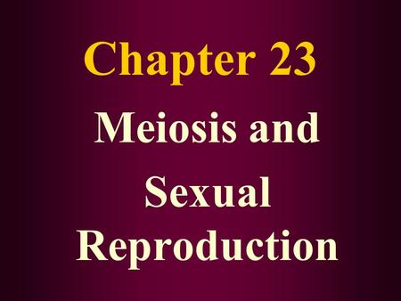 Chapter 23 Meiosis and Sexual Reproduction Asexual Reproduction (review) Single parent gives rise to new offspring by mitotic cell division Each new.