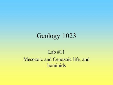 Lab #11 Mesozoic and Cenozoic life, and hominids