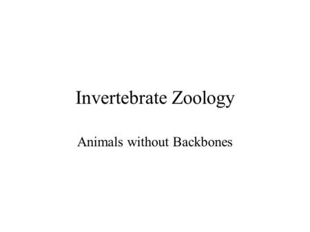 Invertebrate Zoology Animals without Backbones.