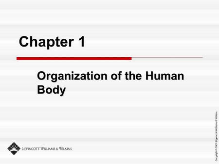 Organization of the Human Body