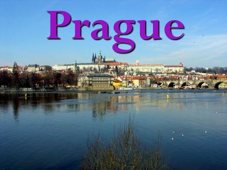 Prague. Basic information: · area: 496km 2 · Inhabitans: 1, 178 000 · Density: 2,376obyvatel/km 2 · County seat: Prague.