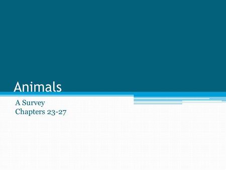 Animals A Survey Chapters 23-27. General Animal Characteristics 1 million + species of animals have been discovered 1. All animals are multicellular 2.