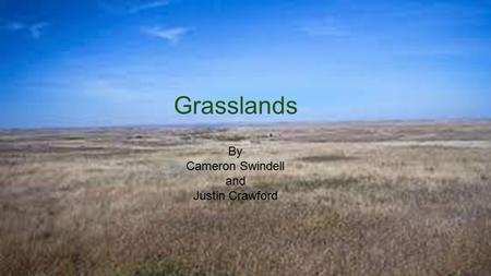 Grasslands By Cameron Swindell and Justin Crawford.