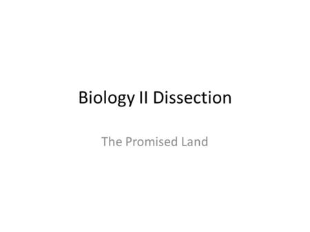 Biology II Dissection The Promised Land. Kingdom Anamalia Animal Kingdom contains organisms that are: –multicellular – diploid –heterotrophic –ingestive.