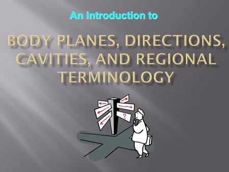 Body Planes, Directions, Cavities, and Regional Terminology