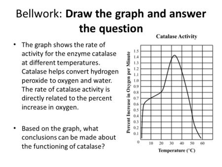 Bellwork: Draw the graph and answer the question The graph shows the rate of activity for the enzyme catalase at different temperatures. Catalase helps.