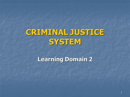 CRIMINAL JUSTICE SYSTEM