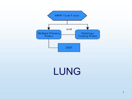 1 LUNG. 2 Equivalent Terms, Def, Charts, Tables, Illustrations.